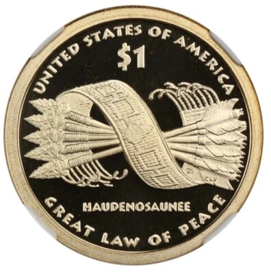 2010-S  DCAM GEM Proof Sacagawea Native American $1 Coin  ⭐️Beautiful⭐️ - Image 1 of 2