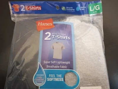 2 Pack LARGE 14-16 Boys Hanes Tagless T-shirts Super Soft Breathable - Image 1 of 4