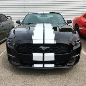 Ford Mustang-Shelby Racing PIN Stripes Decal Vinyl Sticker Viper Stripes Racing - Picture 1 of 7