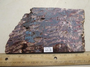 753 FACE POLISHED MARY ELLEN JASPER SLAB WITH FOSSIL STROMATOLITES. BIWABIK, MN - Picture 1 of 3