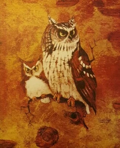 STAMPA LITOGRAFICA VINTAGE SU TELA "GUFO STRIDENTE" DI RICHARD HINGER anni '50 - Foto 1 di 1