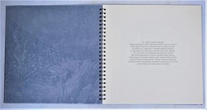EXPOSED TERRAIN, by David Maisel, aerial photography, landscapes of extremes. - Picture 1 of 12