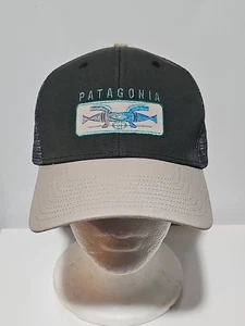 Patagonia - ¡RARO! Gorra de camionero “Shared Vision” otoño 2016 Snapback - Imagen 1 de 7