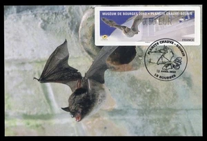 FRANCE 2013 Carte Maximum Card ATM Museum Bourges Chauve-souris Bat Murin fauna - Foto 1 di 1