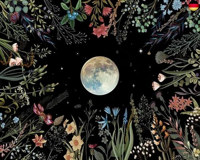 MARKE TISHIRON DIY Malen Nach Zahlen für Erwachsene, Bunte Blumen Malen Nach Zahlen Kits mit