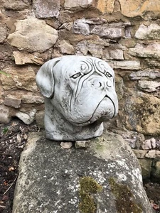 Dogue de bordeaux head stone gate finial, post topper wall guard dog  - Picture 1 of 8