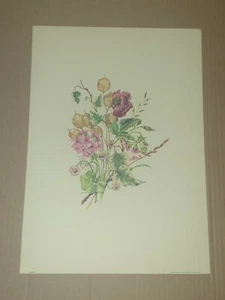 LITHOGRAPHIE 180/2 IL GRIFO MILANO FLOWER BLUMEN DRUCK POSTER VINTAGE PRINTED ITA - Bild 1 von 4