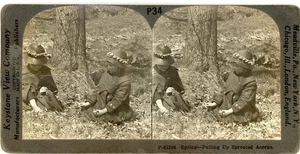 Vintage Keystone Stereoview Card P34 Educational Museum St. Louis #8 - Bild 1 von 2