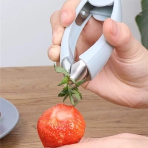 Fruit Eye Peeler & Strawberry Huller -Pineapple Eye Remover, Kitchen Gadget Tool - Picture 1 of 7