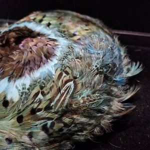 Women's Vintage Pheasant Peacock Feather Hat from 1940's. Fair condition. - Picture 1 of 7