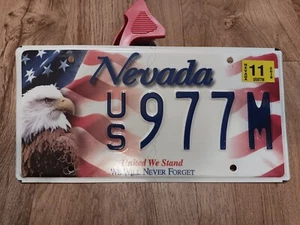 Targa Nevada, bandiera United We Stand e aquila calva, US 977 m, 2019 - Foto 1 di 3