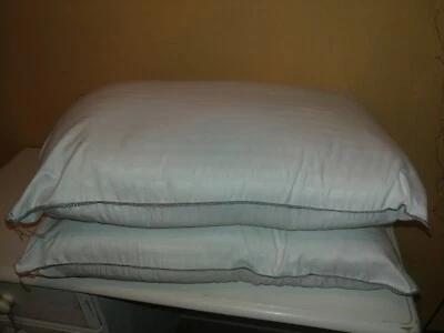 Silentnight Wonder Paquete Completo de Almohadas Antialérgenos Almohadas de Noche Juego de 2 Foto 1 de 4