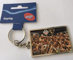 33866 HAWTHORN HAWKS AFL 2015 PREMIERS TEAM IMAGE PHOTO METAL KEY RING KEYRING - Picture 1 of 1
