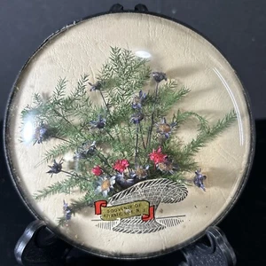 4,5 Zoll runde konvexe Blase Glas gewölbt gerahmt getrocknete Blumen. Wandhängung. - Bild 1 von 2