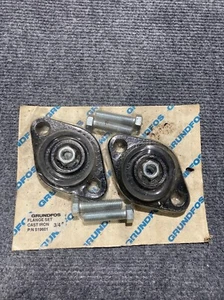 Grundfos Flange Set Cast Iron 3/4 Inch P/N 519601 - Picture 1 of 3