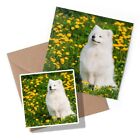1 x Greeting Card & Sticker Set - White Samoyed Dog Yellow Flowers #12361