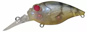 QUIET GRIFFON MR-X Redeye Glass Shrimp 45.0mm 1/4oz Megabass From Stylish angler - Picture 1 of 1