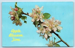 Postal Apple Blossom Time - Imagen 1 de 2