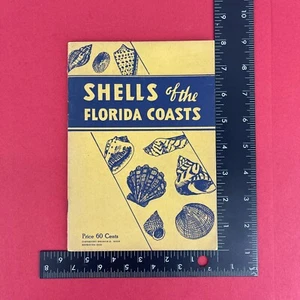 1948 Shells of the Florida Coast - Illustrated Paperback - Picture 1 of 10