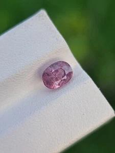 Zafiro natural | Rosa púrpura | Corte ovalado | Sin tratar | De Afganistán - Imagen 1 de 4