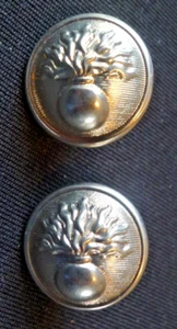 PAIR FRENCH CHROME FINISH BUTTONS APPROX 15MM GENDARMERIE DEPARTMENTALE. - Picture 1 of 1