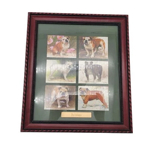 Framed Bull Dog Collection Series of 6 Cards - Picture 1 of 3