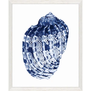 Seashell Wall Art Coastal Decor Shell Framed Picture Beach Ocean Theme 17.3x21.3 - Picture 1 of 1