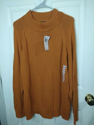 Jeanne Pierre Feminino 3X Blazer Outono Suéter Pulôver Decote Simulado Manga Longa - Imagem 1 de 4