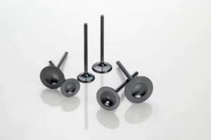 Válvula De Tubo Escape Vertex En Titanio Para Husqvarna TC-TE450 TC-TE510 2005 - Imagen 1 de 1