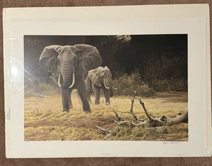 Robert Bateman “Elephant Cow and Calf” Signed Ltd Ed Print /950 1990 36”x24” - Picture 1 of 5