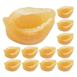 12 Pcs Modèle De Simulation D'ormeau Accessoire Photo Fruits Mer - Zdjęcie 1 z 12