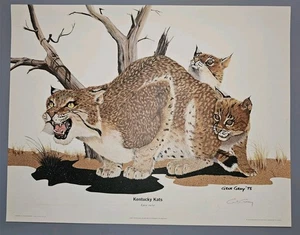 1975 Gene Gray Wildcats stampa firmata con certificato di autenticità e raro foglio copertina KY KATS 22x17 - Foto 1 di 8