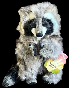 Marioneta de mano de felpa FOLKMANIS MAPACHE ~ NUEVA CON ETIQUETAS ~ ¡Tan realista! - Imagen 1 de 5