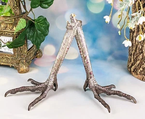 Standing Turkey feet Pair Taxidermy Oddities Curiosities Persevered Craft repair - Picture 1 of 4