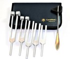 Premium Tuning Fork Set of 6 - Medical Surgical Diagnostic instruments-W/CASE