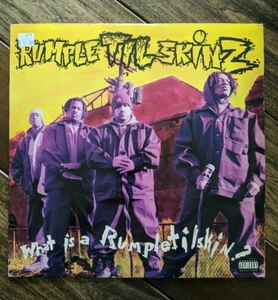 Rumpeltilskinz - What is a Rumplestilskin? Vinyl Lp 1993 US Hip Hop Rap Rare - Bild 1 von 12