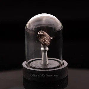 Genuine Sikhote-Alin Meteorite in Glass Dome E - Picture 1 of 4