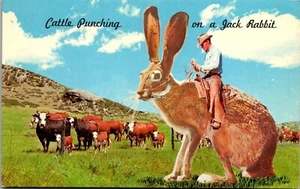 Postal vintage de humor exageración cottle golpeando a un conejo Jack - Imagen 1 de 4
