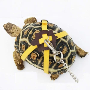 Pet Tortoise Turtle Leather Harness Strap Chest Collar Walking Lead Control Rope - Picture 1 of 18