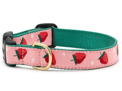 Collar para perro Up Country Strawberry Fields ajustable hecho en EE. UU. XS S M L XL XXL Foto 1 de 2