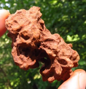 COPROLITE POWERFUL GROUNDING FOSSIL NATURAL FOSSILIZED DINOSAUR DUNG *5 - Picture 1 of 6