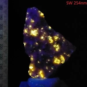 Norbergite & Phlogopite Mica in Calcite SW fluorescent starry sky Franklin 322ct - Picture 1 of 9