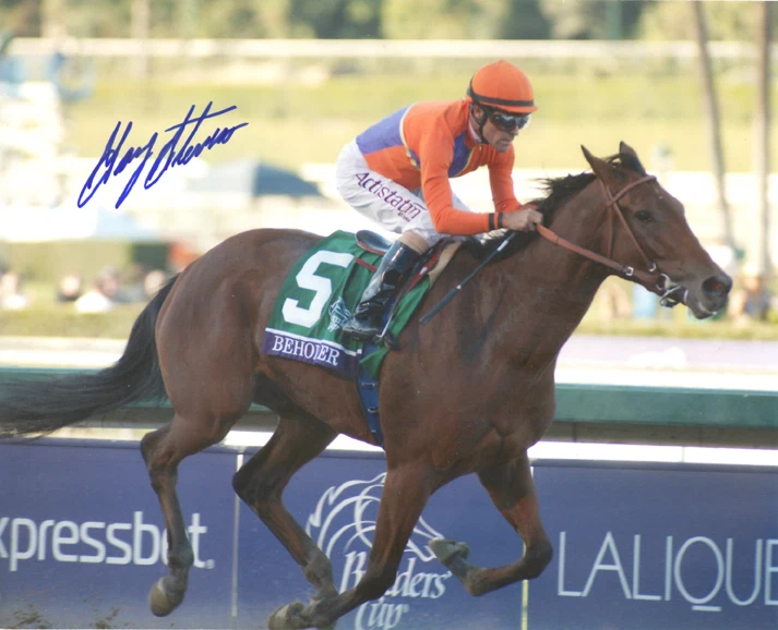 Beholder 2013 Breeders' Cup Distaff Foto Firmada Gary Stevens 8x10 ¡Nuevo!! Foto 1 de 1