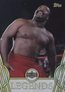 Junkyard Dog 2018 Topps Legends of WWE Card #28 Pro Wrestling Superstar JYD NWA - Picture 1 of 12