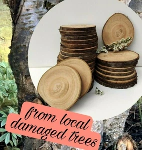 10-25CM (4-10") Wooden Slices Wood Log Discs Round Wedding Rustic EASTER Crafts - Picture 1 of 24