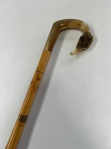 UNUSUAL VINTAGE HORN HANDLED SHEPHERD CROOKS WALKING STICK NORTHUMBERLAND CREST - Picture 1 of 20