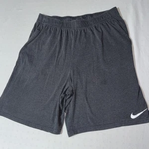 Nike Shorts Men's XLT Dri-FIT Standard Fit Gray Athletic Drawstring Lightweight - Picture 1 of 10
