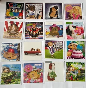 Guinea Pig birthday greetings blank cards 16 designs to choose from - Picture 1 of 33