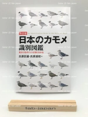 An Identification Guide to the Gulls of Japan Picture Reference Book of Seagull - Image 1 of 4