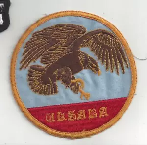 PATCH USAF UNKNOWN UKSABA BROWN EAGLE HAWK - Picture 1 of 2